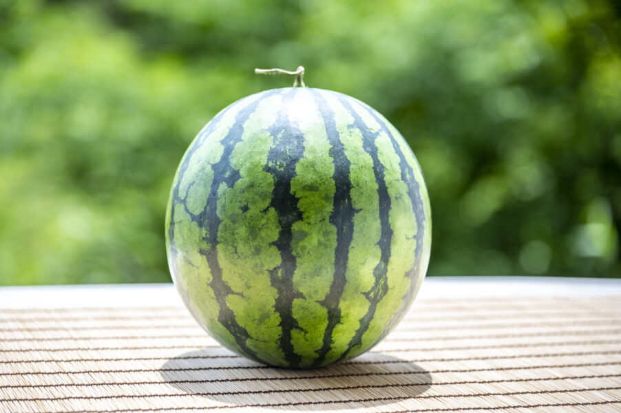 スイカの栄養とは？カロリーや含まれている栄養素を解説 | デリッシュ  