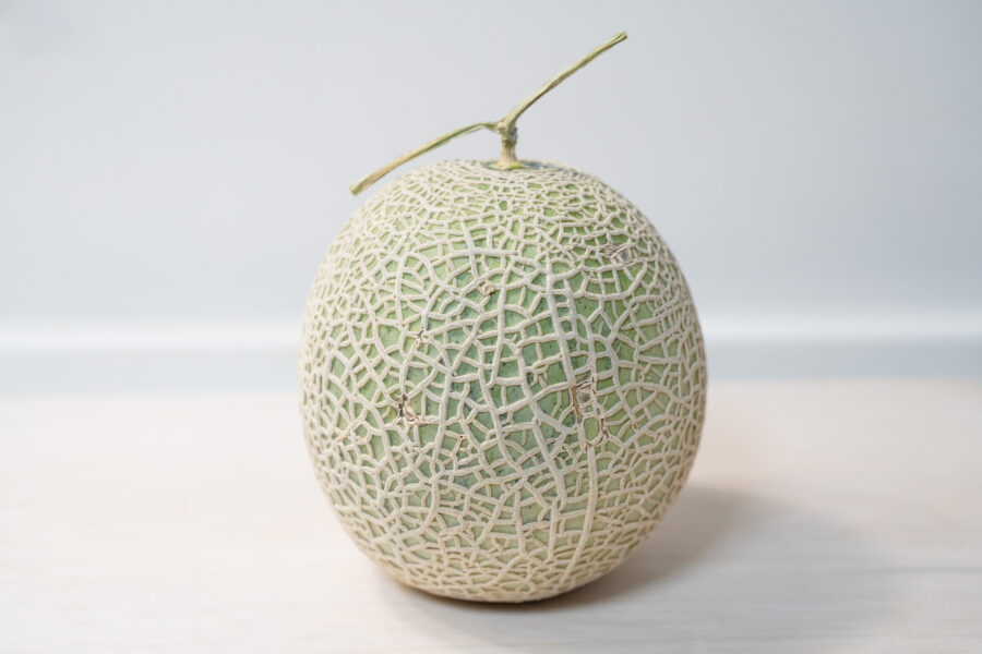 メロンが美味しい旬は５月から７月 Food Library 食の検定